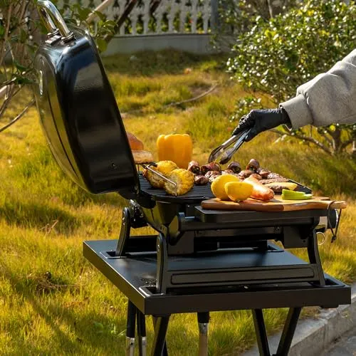 Royal Gourmet 2-Brenner Gasgrill 2
