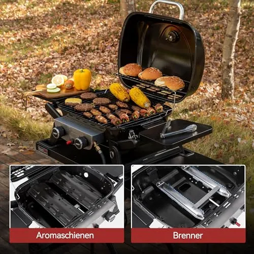Royal Gourmet 2-Brenner Gasgrill 4