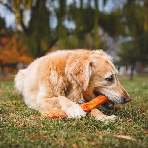 RUFFWEAR Gnawt-a-Stick 4