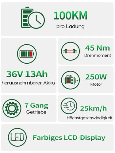 Runetic E Bike 2