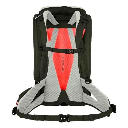 Salewa Alp Trainer 2