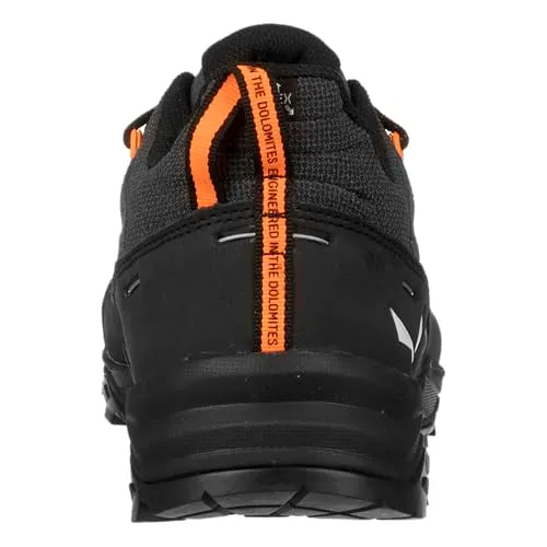 Salewa ALP Trainer 2 3