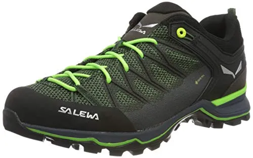 Salewa Mountain Trainer Lite 2