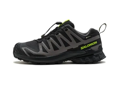 Salomon Herren 4
