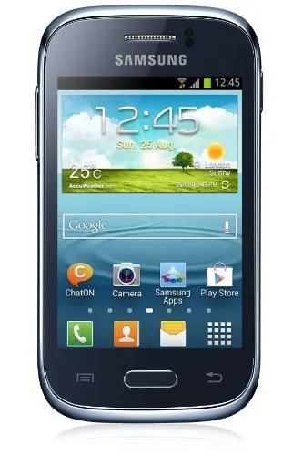 Samsung Galaxy Young GT-S6310N