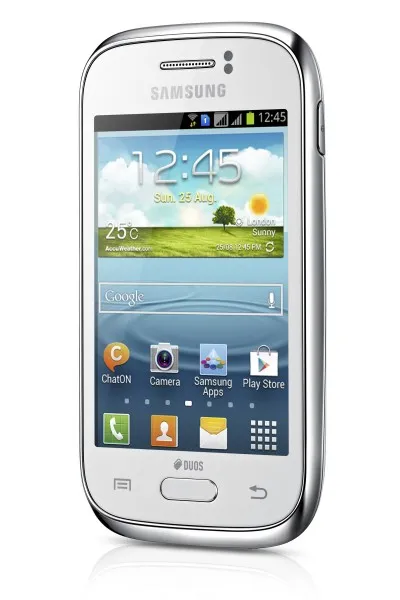 Samsung Galaxy Young GT-S6310N 2