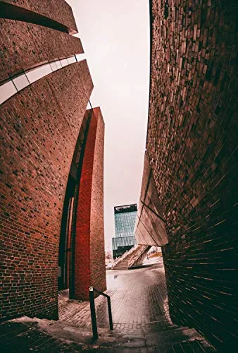 Samyang MF 8mm F2.8 Fisheye II 5