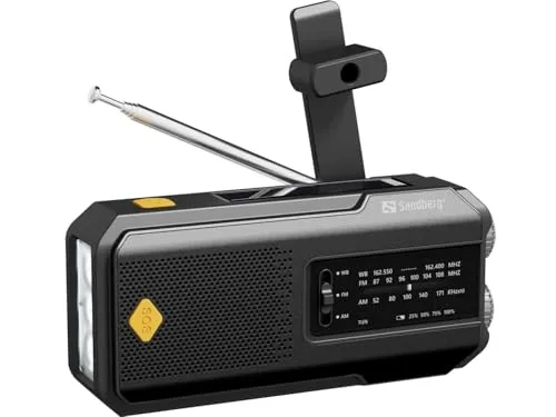 Sandberg Survivor Radio 2000