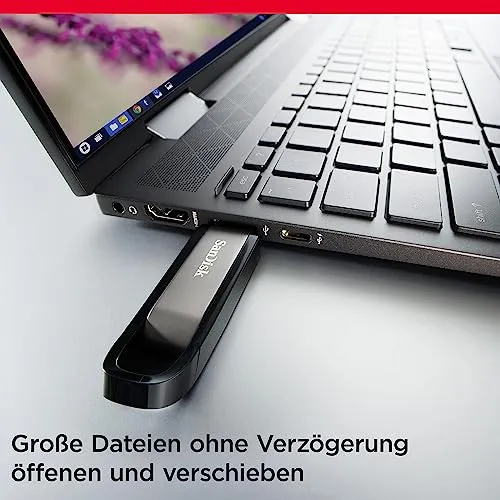 SanDisk Extreme GO 3