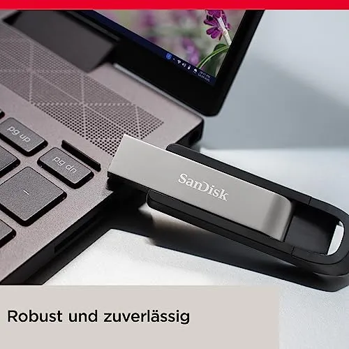 SanDisk Extreme GO 4