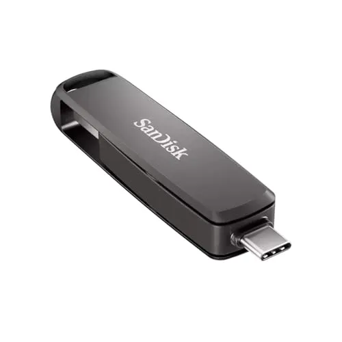 SDDDE1-256G-G46