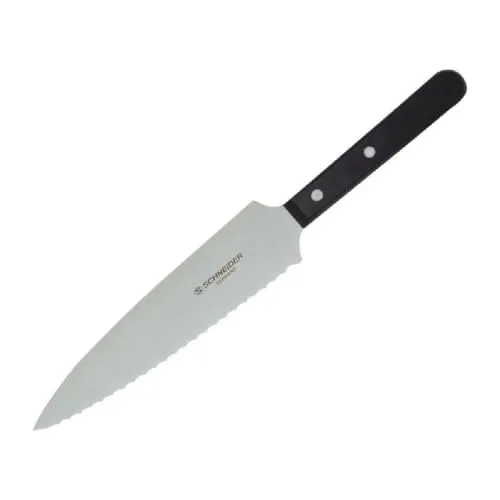 Schneider GT036 2