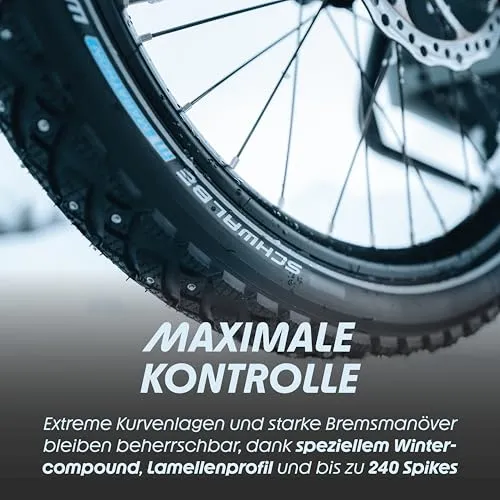 Schwalbe Marathon Winter Plus 4