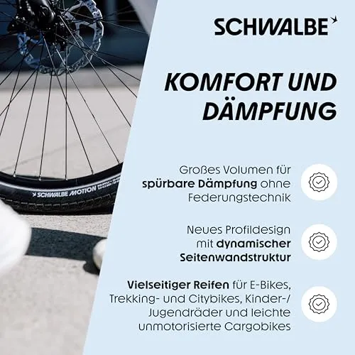 Schwalbe Motion Big Apple 3
