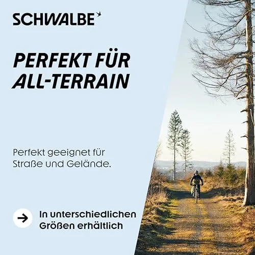 Schwalbe Smart Sam Plus 5