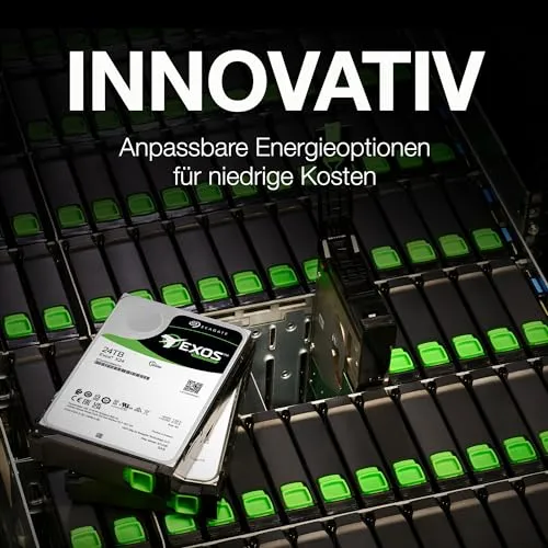 Seagate Exos X24 4