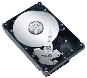 Seagate Barracuda 7200.9 300GB (ST3300622A)