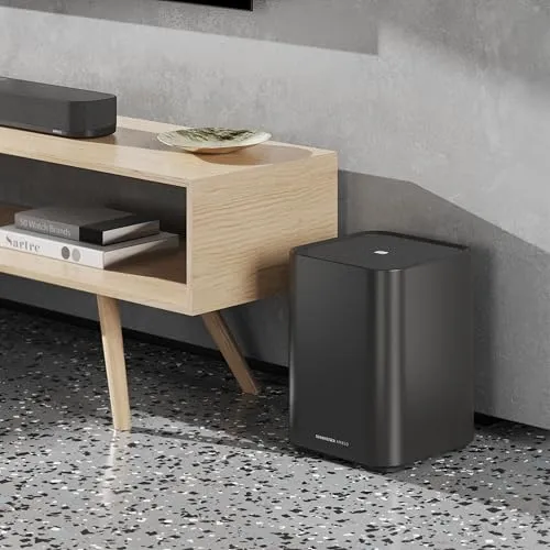 Sennheiser AMBEO Sub 2