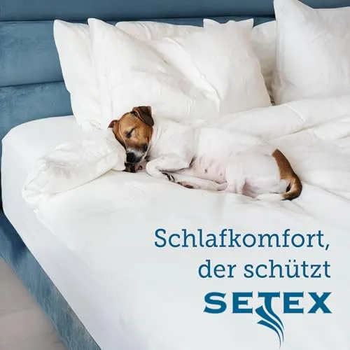 SETEX Generation 6