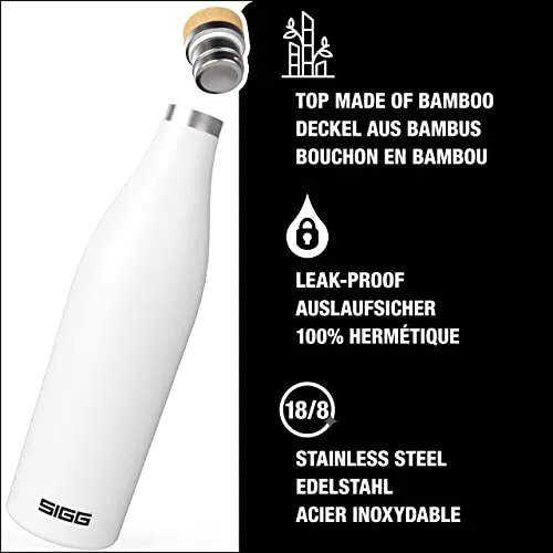 Sigg Meridian 3