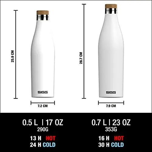 Sigg Meridian 4