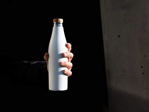 Sigg Meridian 5