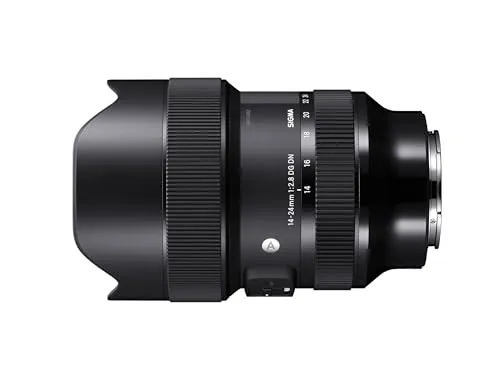 Sigma 14-24mm F2.8 DG DN Art 2