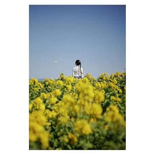 Sigma 17-40 mm F1.8 UC 3