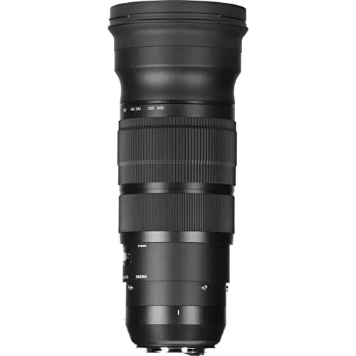 Sigma 2,8/120-300 mm DG OS HSM [S] 2