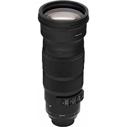 Sigma 2,8/120-300 mm DG OS HSM [S] 6