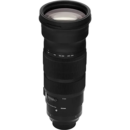 Sigma 2,8/120-300 mm DG OS HSM [S] 7