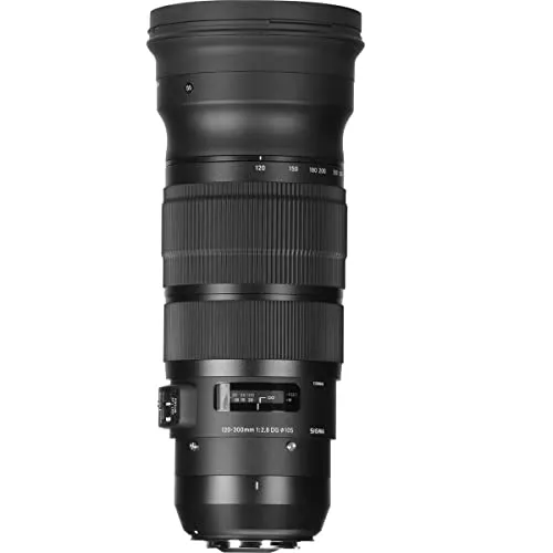 Sigma 2,8/120-300 mm DG OS HSM [S]