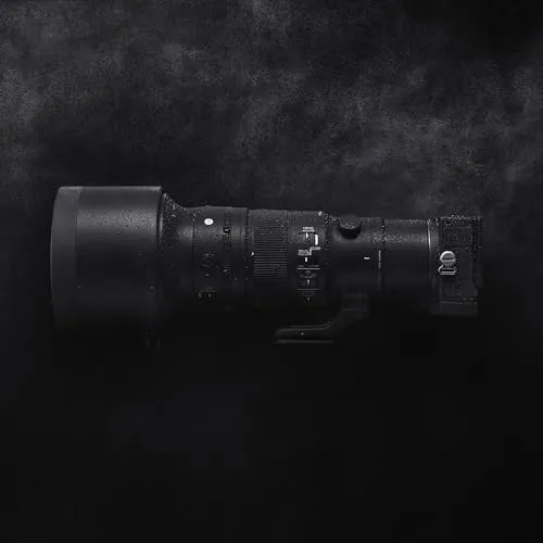 Sigma 500mm f/5.6 DG DN OS Sport 5