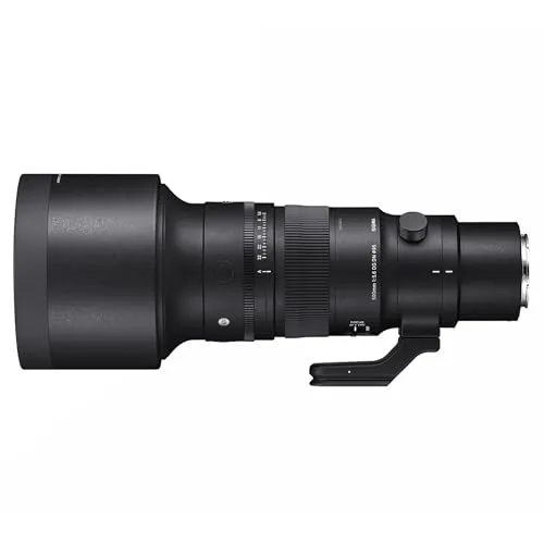 Sigma 500mm f/5.6 DG DN OS Sport 6