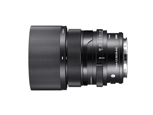 Sigma 65mm F2,0 DG DN 3