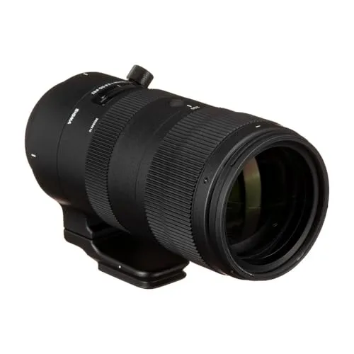 Sigma 70-200/2.8 DG OS HSM Sports 4