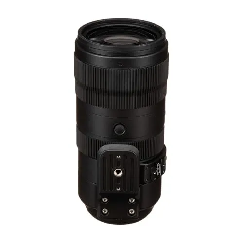 Sigma 70-200/2.8 DG OS HSM Sports 5