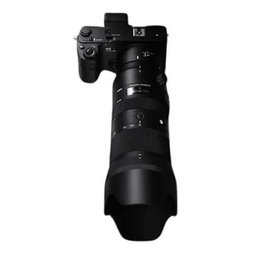 Sigma 70-200/2.8 DG OS HSM Sports 6