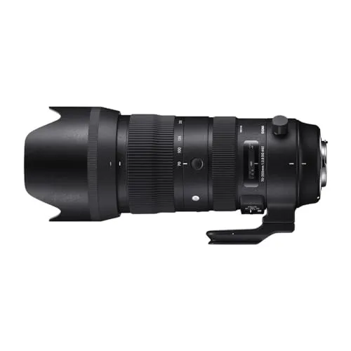 Sigma 70-200/2.8 DG OS HSM Sports 2