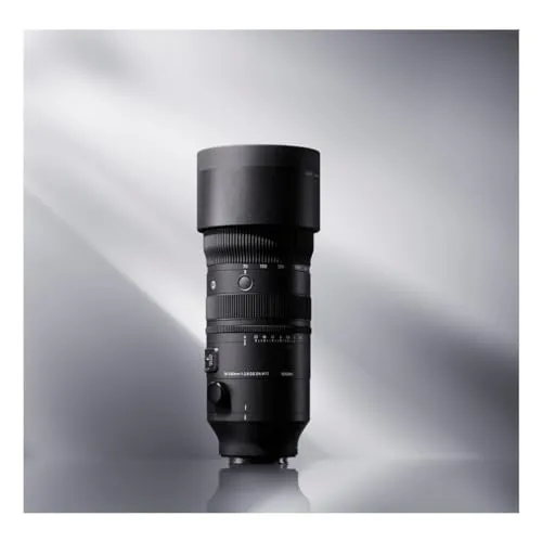Sigma AF 70-200MM F/2.8 DG DN OS SE 6