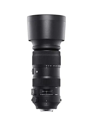 Sigma Sports 60-600 mm DG DN OS L-Mount