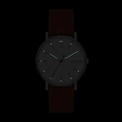 Skagen Signatur SKW6903 5