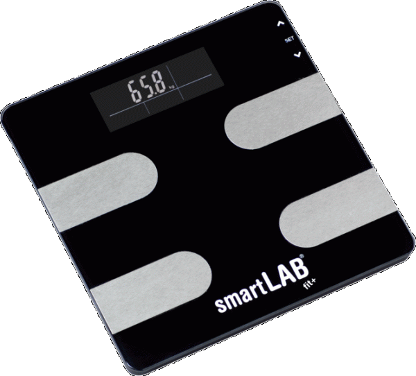 SmartLAB fit+
