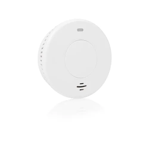 FSM-17001