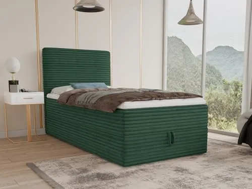 Sofnet Mollo Mini 2
