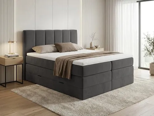 Sofnet Star XL 2