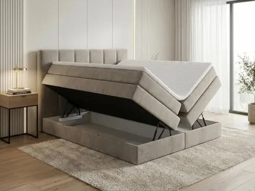 Sofnet Star XL 4