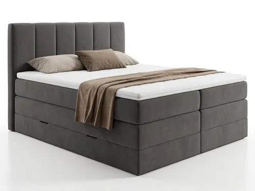Sofnet Star XL
