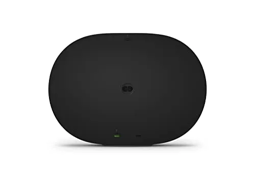 Sonos Era 300 6