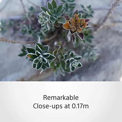 Sony E 15 F1.4 G 3